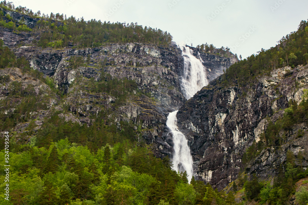 Beautiful waterfall between green trees on Nærøyfjord in early summer in Norway Beautiful waterfall between green trees on Nærøyfjord in early summer in Norway
