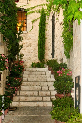 Saint Paul the Vence, Provence alley on old village with plants and flowers © AnnaMG