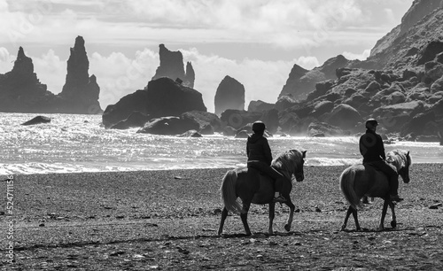 Icelandic Horses on Black Beach 
