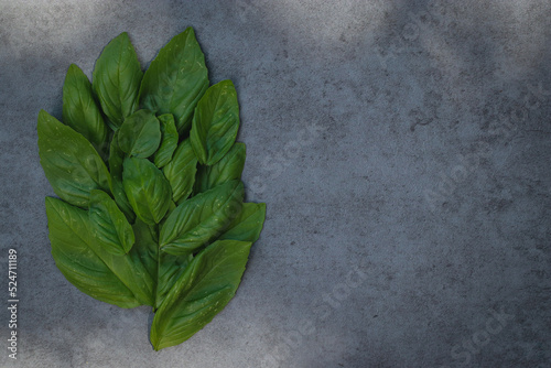 fresh basil leaves on a grey marble background with copy space