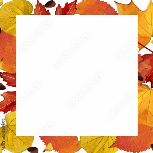 Autumn background from yellow and orange leaves and a white background for an inscription.