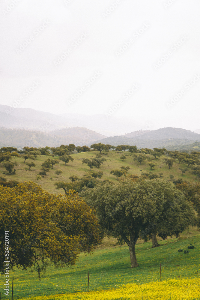 Extremadura dehesa Spanish landscape