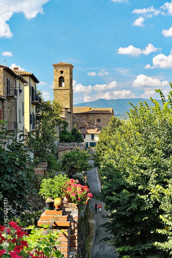 The hill top town of Poppi, Tuscany, Italy. A steep street climbs past house gardens to the mediaeval Abbey of San Fedele