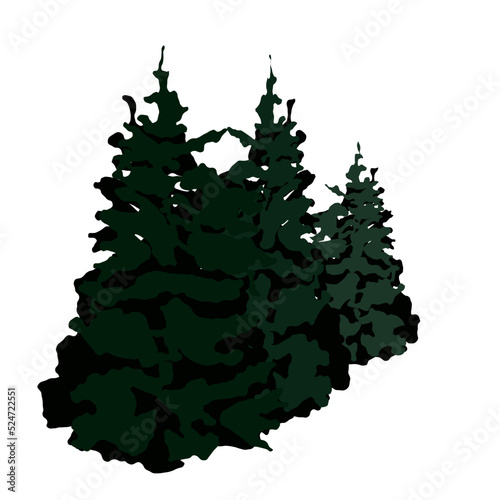 Pine Trees Vector