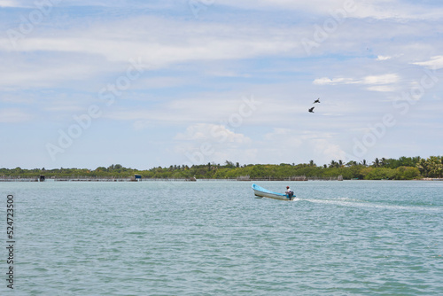 A man alone sailing a boat in the middle of a lagoon