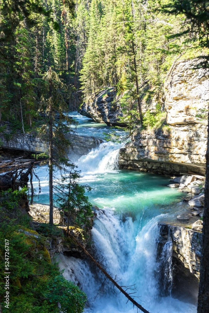 Obraz premium Johnston Canyon falls, Alberta, Canada