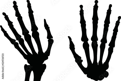 Skeletal Hand Eps Vector,  Silhouette, Logo, Skeletal Hand  Eps Vector Cut Files for Cricut Design, Skeletal Hand  Digital Commercial Clipart 
