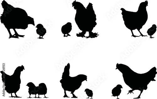 Mama Hen Eps Vector,  Silhouette, Logo, Mama Hen  Eps Vector Cut Files for Cricut Design, Mama Hen  Digital Commercial Clipart 