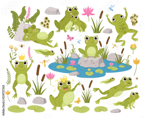 Cartoon frogs, green toads, amphibian tadpoles in natural habitat. Cute froggy in various poses, water animals with pond flat vector illustrations set. Green frogs bundle