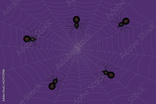 Spiders on web