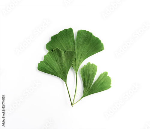 Wallpaper Mural Three Ginko green leaves isolated on white background. Gingko Biloba composition for medicine product design element with copy space, closeup. Torontodigital.ca