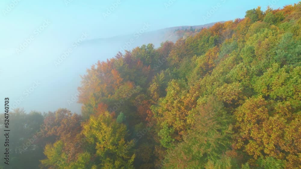 AERIAL: Flying above autumn morning fog cover and colorful hilly forest area. Gentle mist hoovering above colorful woodland area. Beautiful hilly countryside in numerous color shades of fall season. AERIAL: Flying above autumn morning fog cover and colorful hilly forest area. Gentle mist hoovering above colorful woodland area. Beautiful hilly countryside in numerous color shades of fall season.