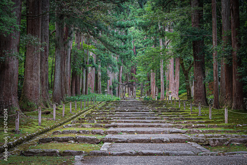 Canvas Print 平泉寺白山神社
