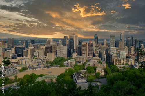 Montreal, Québec, Canada City Skyline from Mount Royal