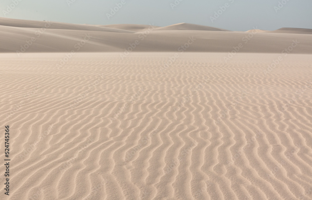 ripples on the sand dunes in the desert ripples on the sand dunes in the desert