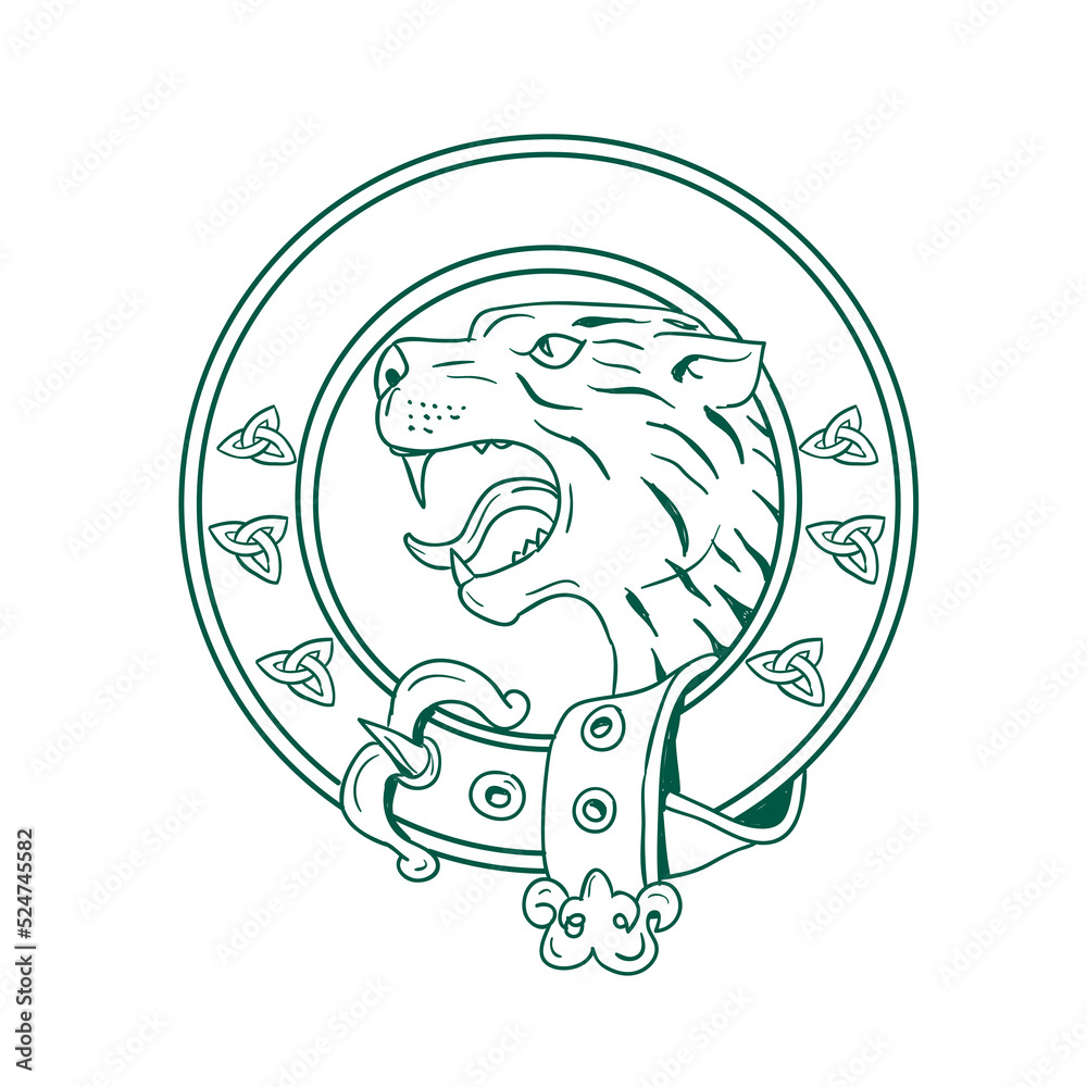 Scottish Wildcat Head Celtic Belt Drawing Scottish Wildcat Head Celtic Belt Drawing