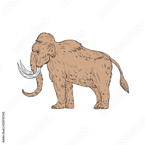 Woolly Mammoth Side Drawing