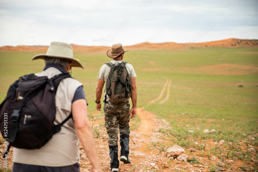 hikers walking along path in the desert of namibia