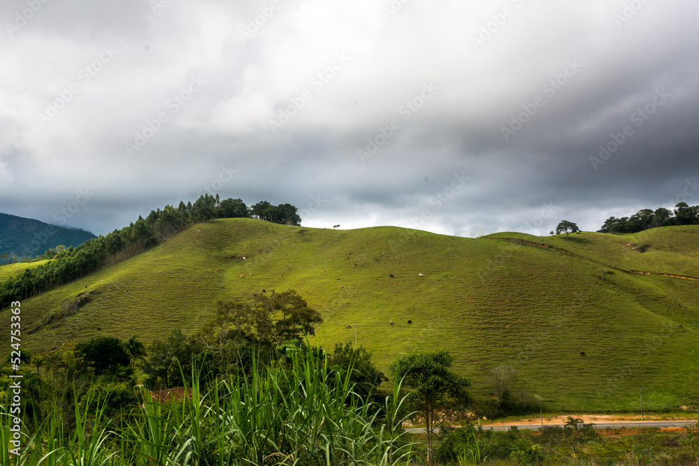 Obraz premium Landscape of a pasture in a hill in a cloudy day in the town of Macuco, State of Rio de Janeiro, Brasil.