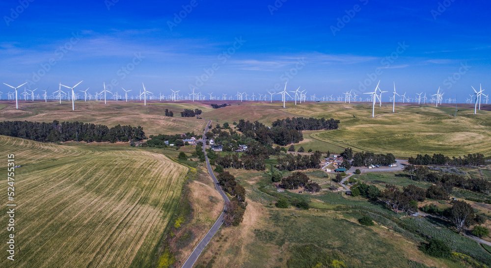Shiloh wind power plant near Birds Landing