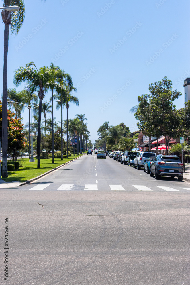 Road with palm trees, summer
