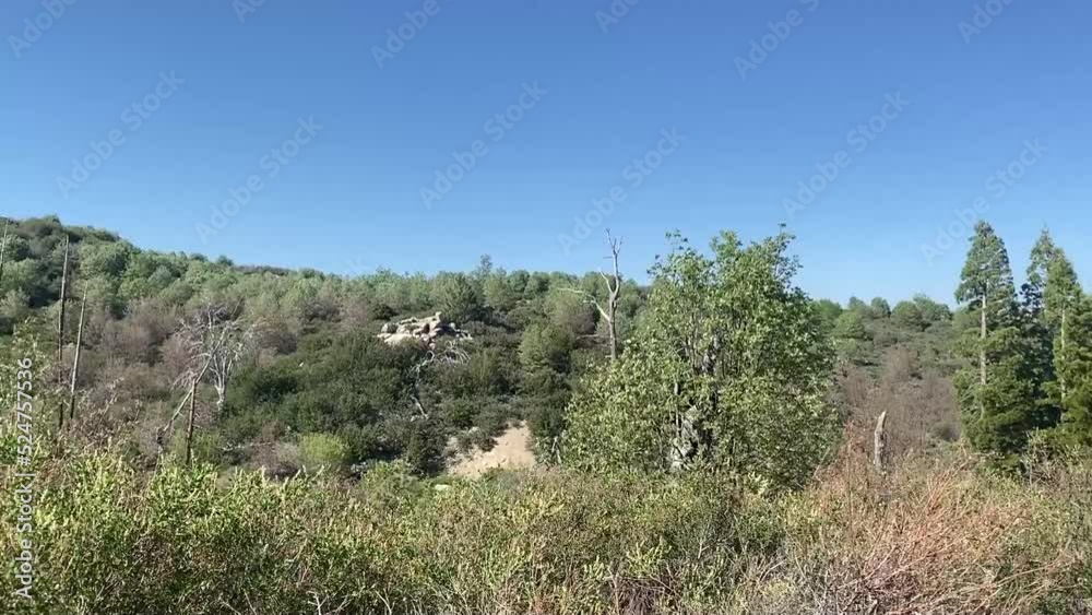 hiking trail mountain hill view trees treetop blue sky adventure path hiking trail mountain hill view trees treetop blue sky adventure path