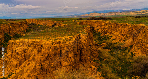 Carrizo Plains National Monument © David