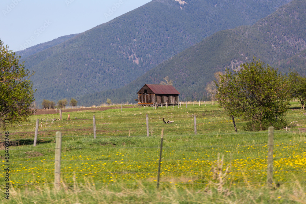 Fototapeta premium Old structure in field