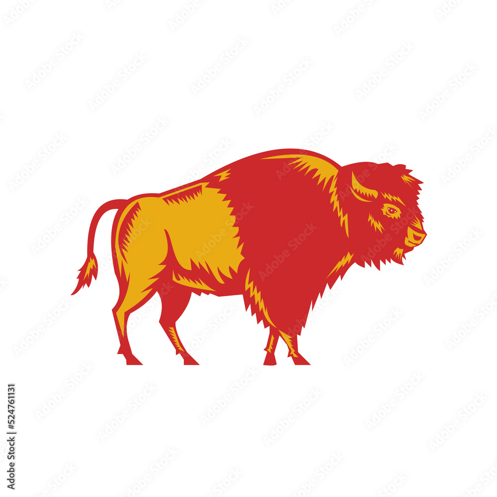 Fototapeta premium American Bison Side Woodcut