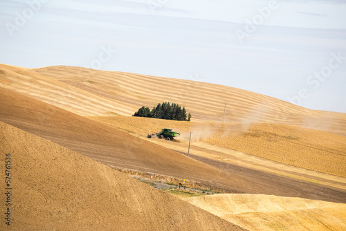 Golden wheat field being plowed
