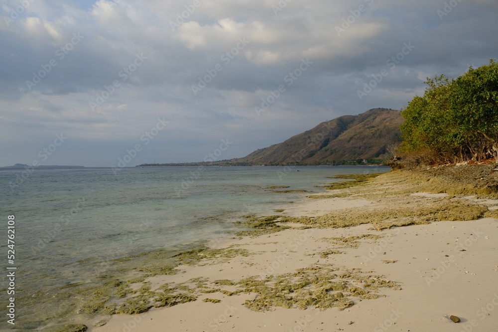 Indonesia Alor Island - Coastal landscape low tide