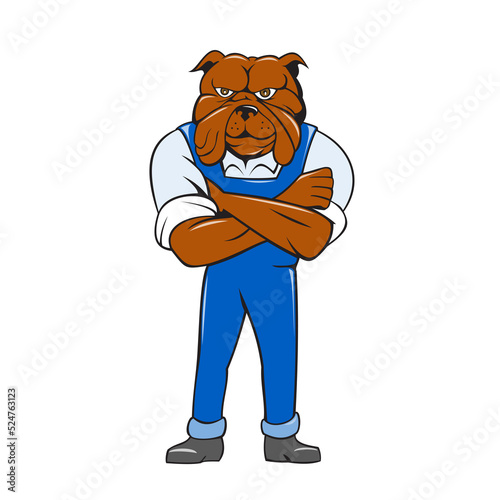 Bulldog Standing Arms Crossed Cartoon