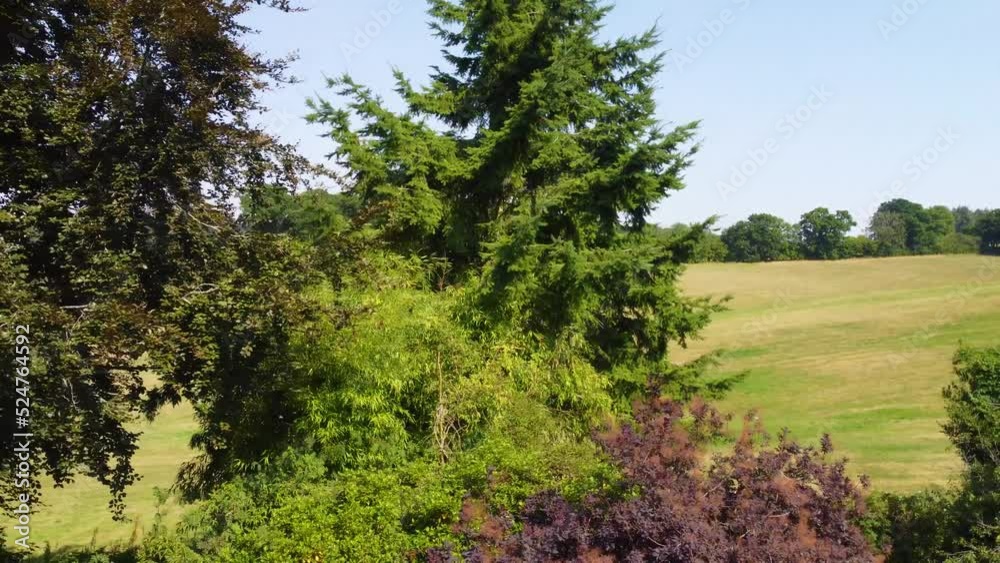 Panning Drone Aerial Shot Past Multi Coloured Trees to Reveal Scorched Green Fields Dorset UK 4K Panning Drone Aerial Shot Past Multi Coloured Trees to Reveal Scorched Green Fields Dorset UK 4K