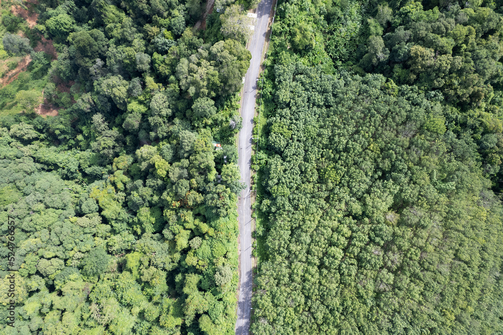 Aerial view Curve Road in the forest green summer trees Drone camera top down view Amazing landscape High angle view Green background