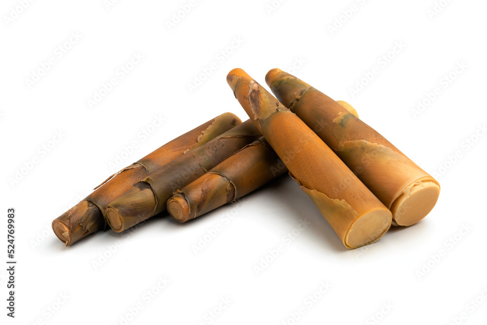bamboo shoots isolated on white background bamboo shoots isolated on white background