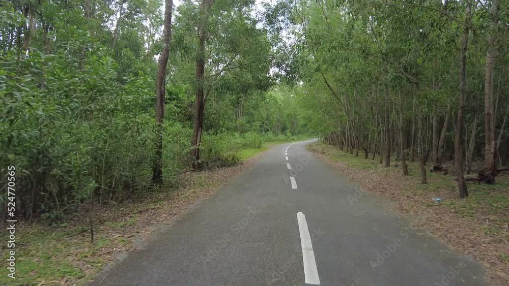 Empty road, Peppara reservoir and wildlife sanctuary road, Trivandrum, Kerala