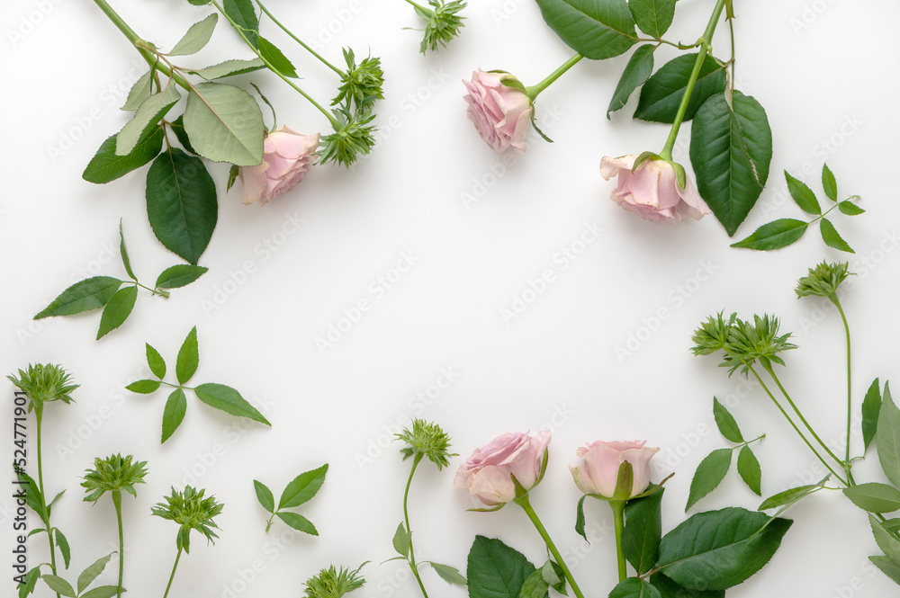ピンクとグリーンのバラの花 背景素材 ピンクとグリーンのバラの花 背景素材