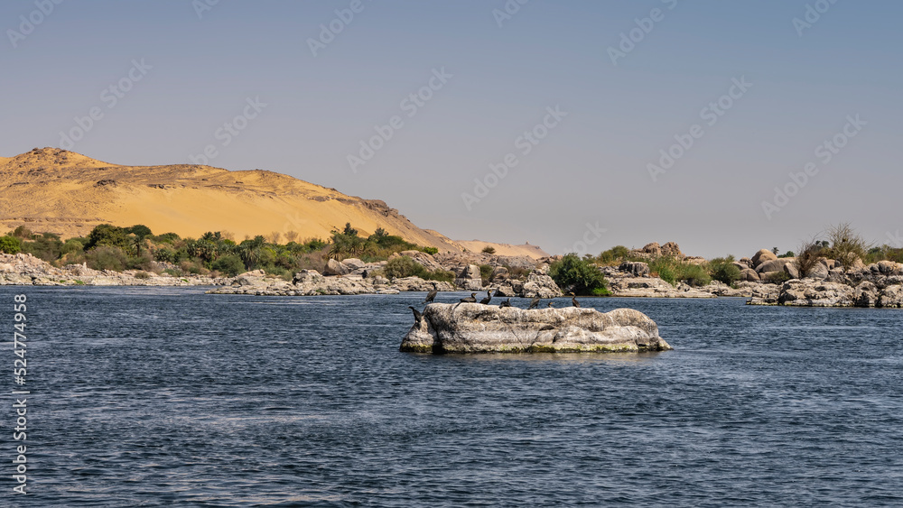 In the riverbed, on a large boulder, waterfowl sit. There is green vegetation on the rocky shore. Sand dunes against a clear blue sky. Copy space. Egypt. Nile.  Aswan