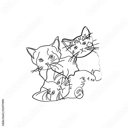 Cat animal sketch art