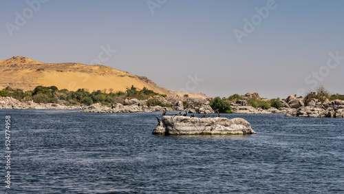 In the riverbed, on a large boulder, waterfowl sit. There is green vegetation on the rocky shore. Sand dunes against a clear blue sky. Copy space. Egypt. Nile.  Aswan © Вера 
