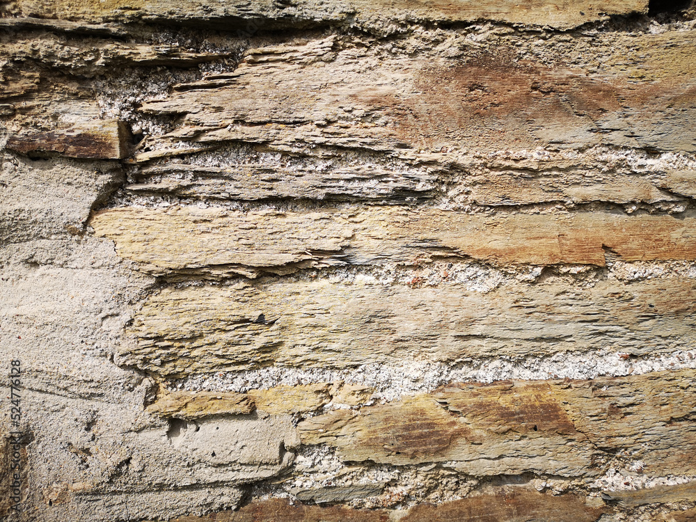 Wall Photos for Portrait Backgrounds or Grungy Graphic Design Elements