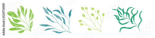 Green leaves sketch. Hand drawn vector illustration. Pen or marker doodle plant