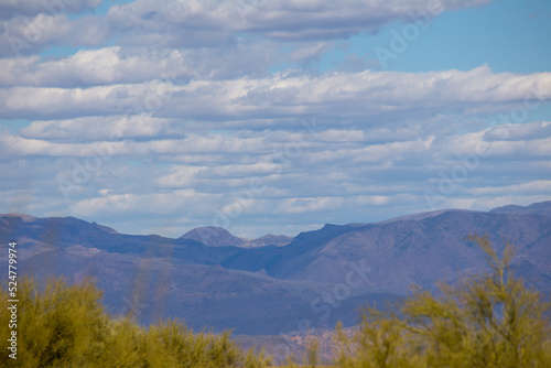 Arizona desert landscape with cloudy sky and yellow trees