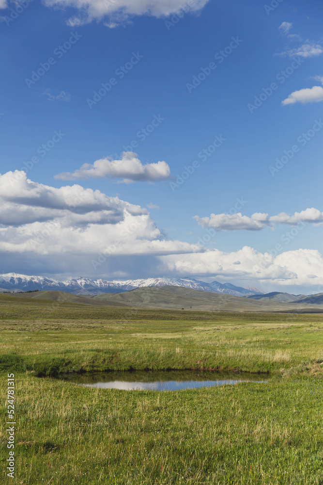 Fototapeta premium Pond in green field with snowy mountains, and blue sky and clouds