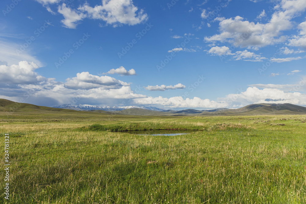 Pond surrounded by grass field with partly cloudy blue sky