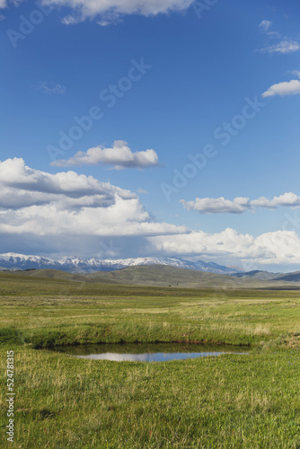 Pond in green field with snowy mountains, and blue sky and clouds