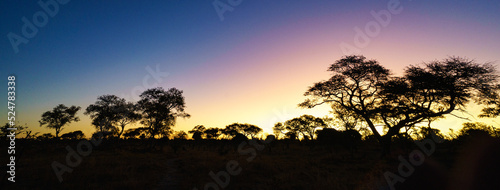 Botswana. Sunset in the bush 