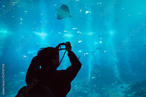 Photography Happy traveller watching fish in aquarium
