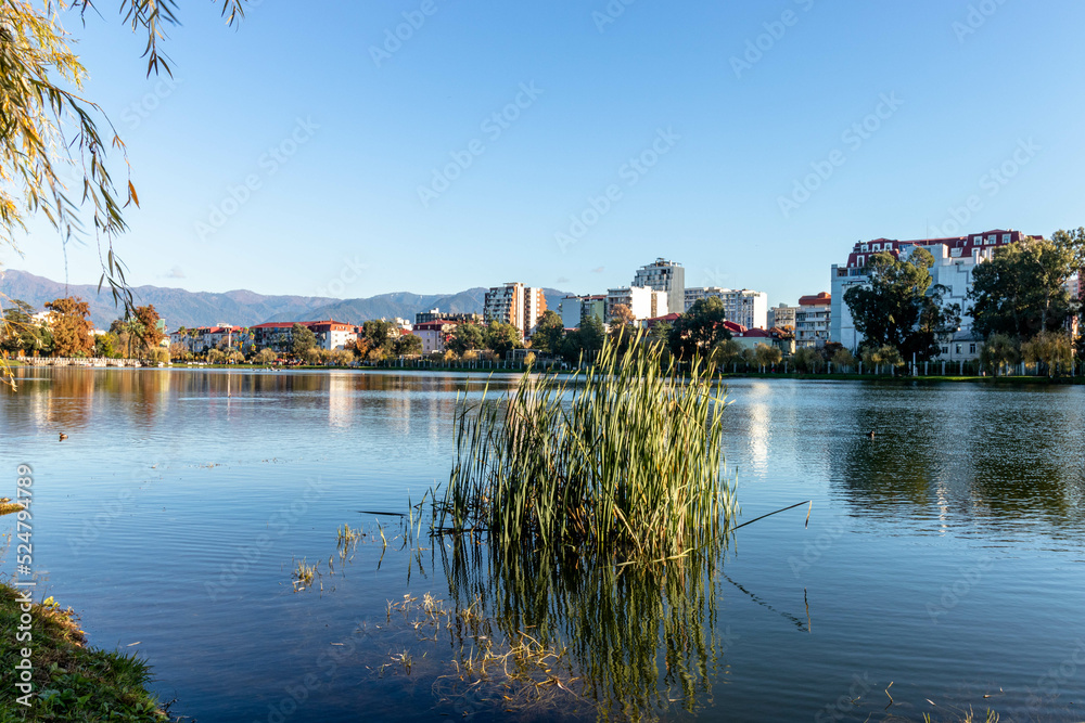 A lake in a city park with reeds in the foreground surrounded by houses and trees against the backdrop of mountains.
