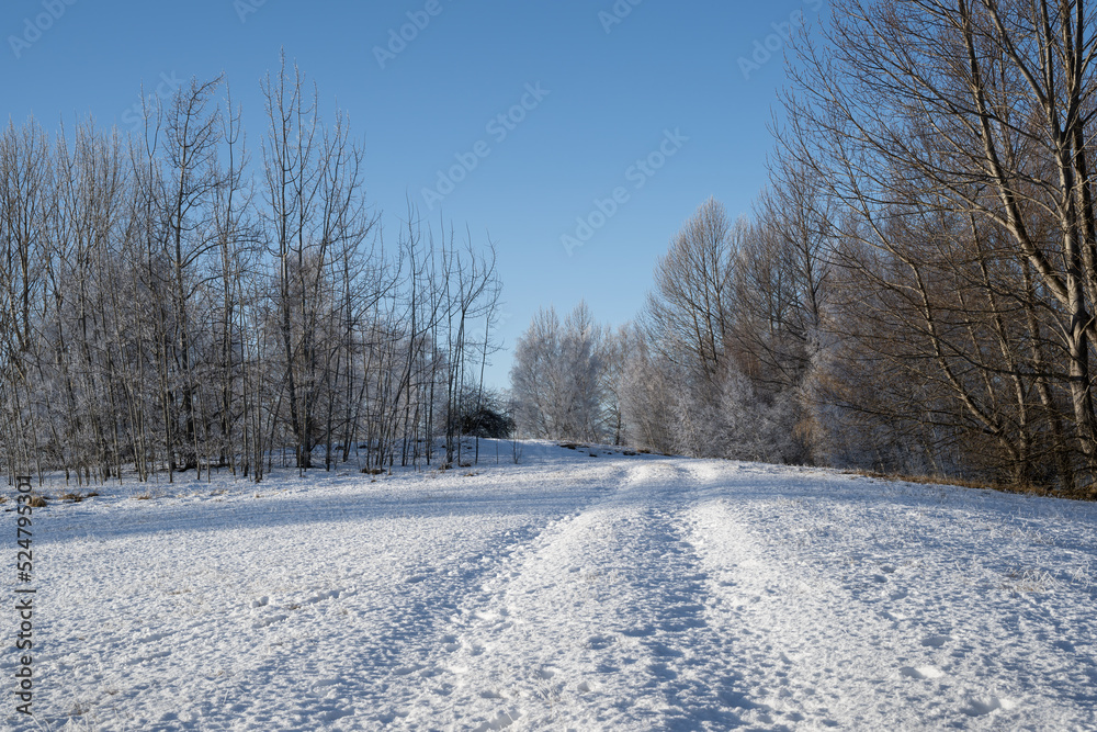 Winter landscape of snow covered ground and melting hoar frost, Twizel, South Island